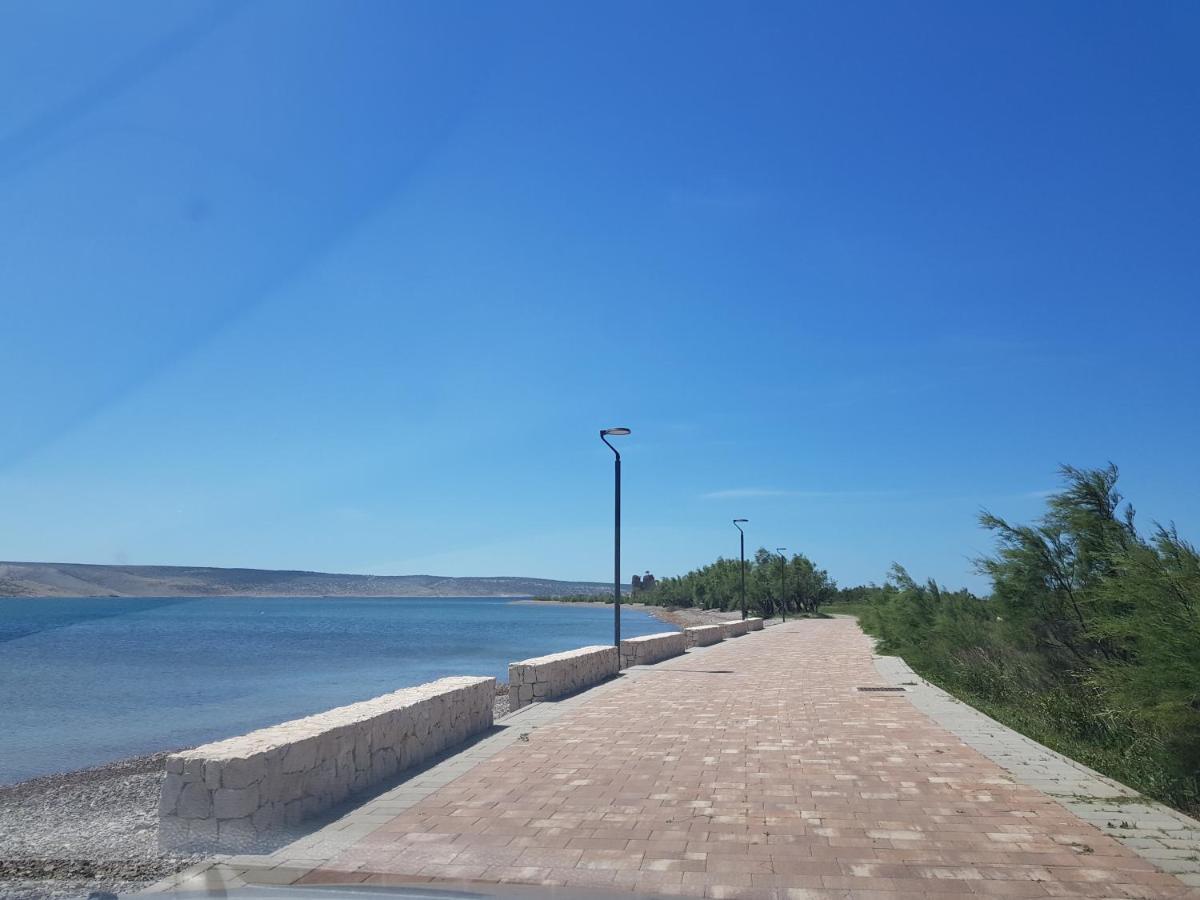 Green Point Paklenica ستاريغغاد باكلينتسا المظهر الخارجي الصورة