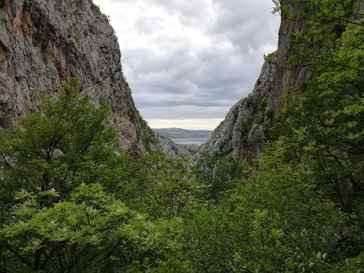 Green Point Paklenica ستاريغغاد باكلينتسا المظهر الخارجي الصورة