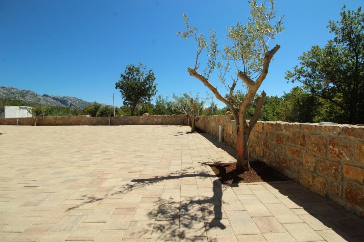 Green Point Paklenica ستاريغغاد باكلينتسا المظهر الخارجي الصورة